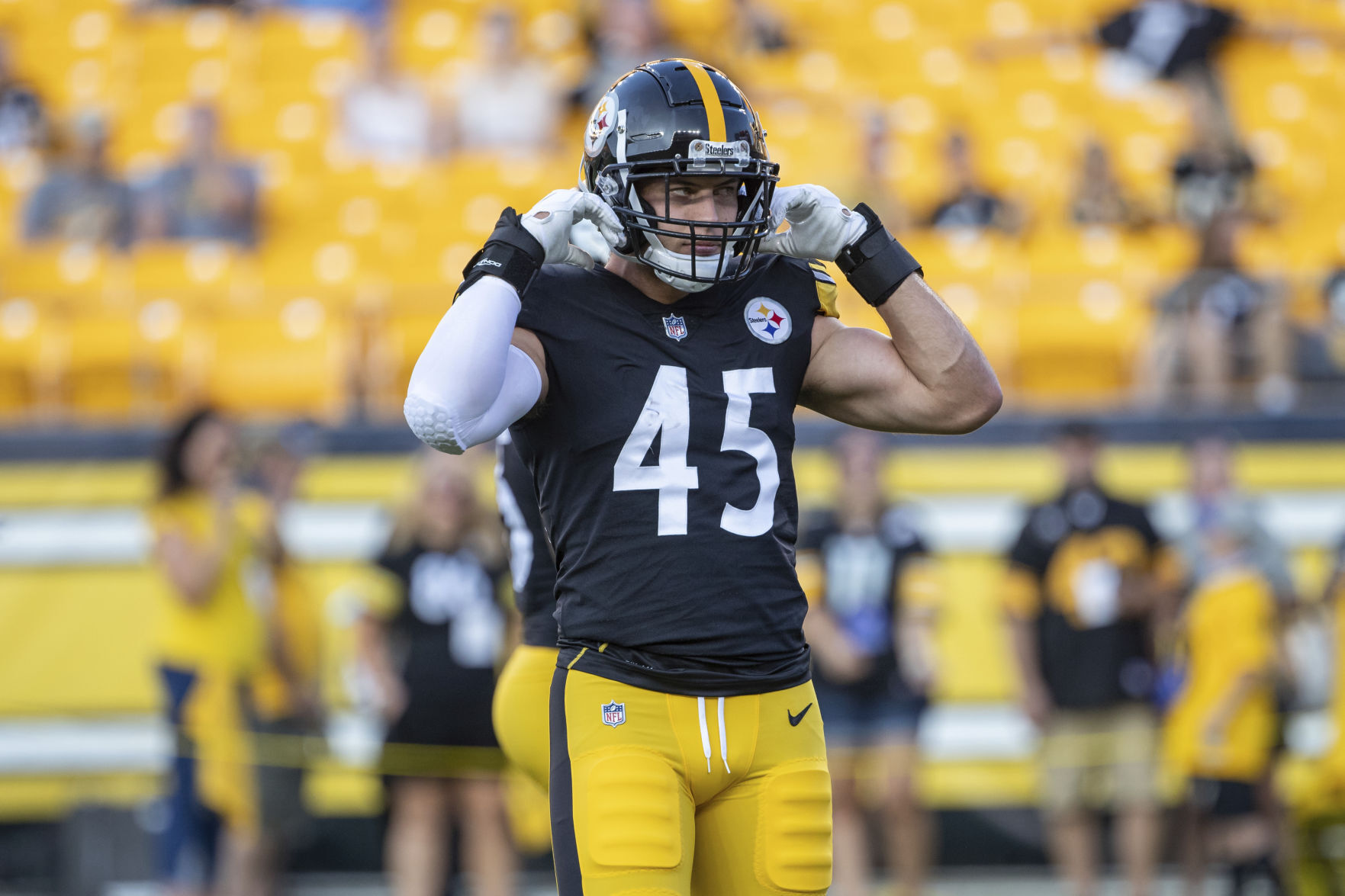 Lions Steelers Football
